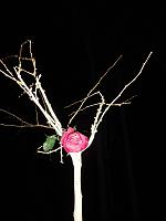  9. Februar 2011 - Memories never die